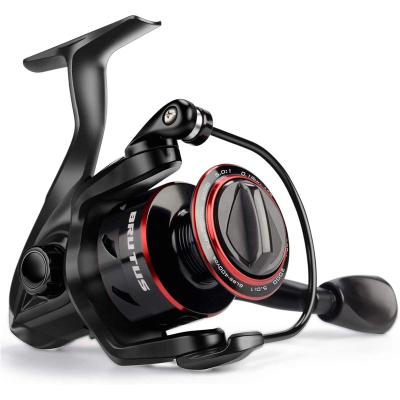 Carrete de Pesca Giratorio Kas - Kastking Reel Zephyr reseña y precio